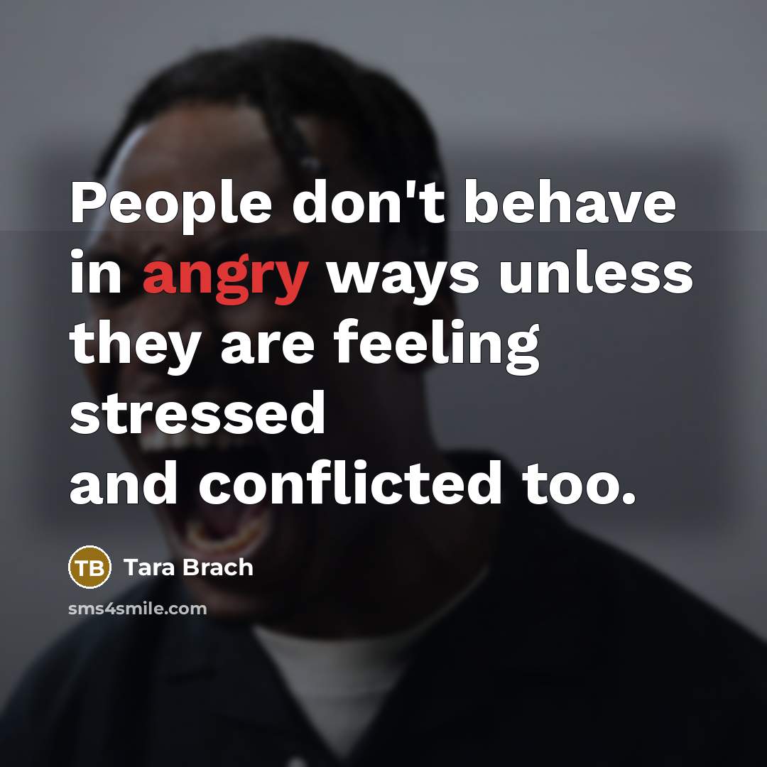 “People don't behave in angry ways unless they are feeling…” quote by Tara Brach
