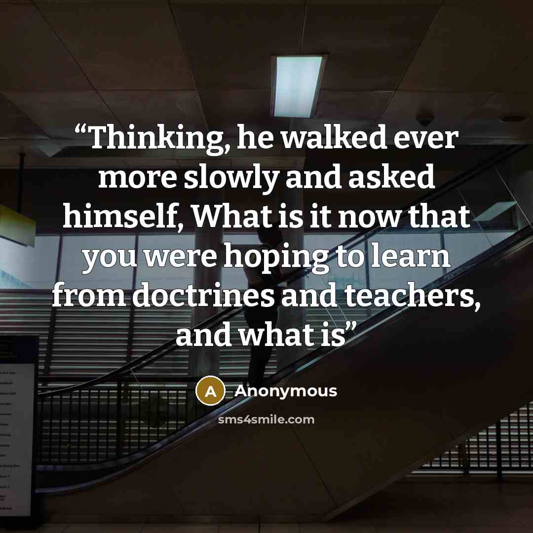 “Thinking, he walked ever more slowly and asked himself, What is it now that you were hoping to learn from doctrines and teachers, and what is” quote by Anonymous