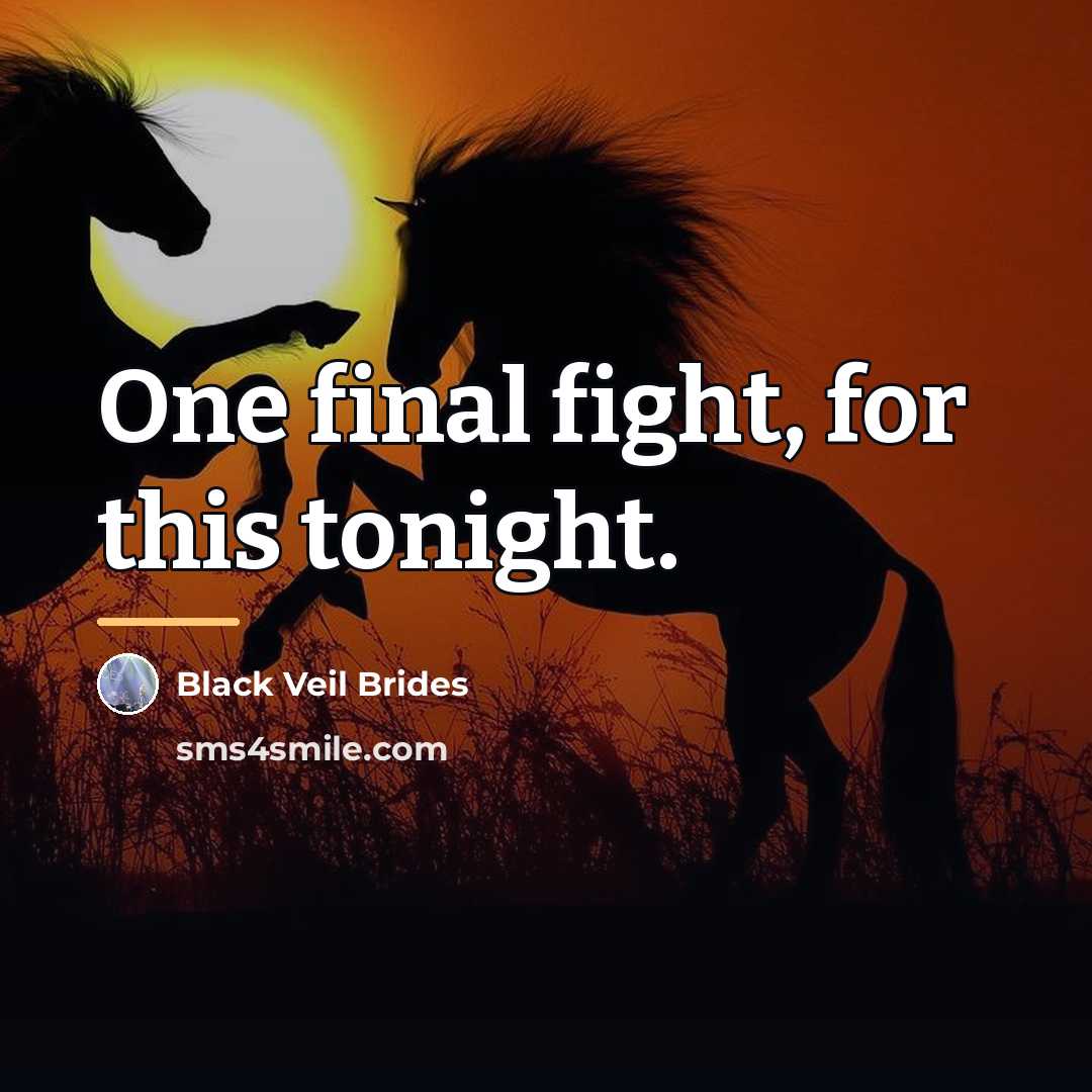 “One final fight, for this tonight.…” quote by Black Veil Brides