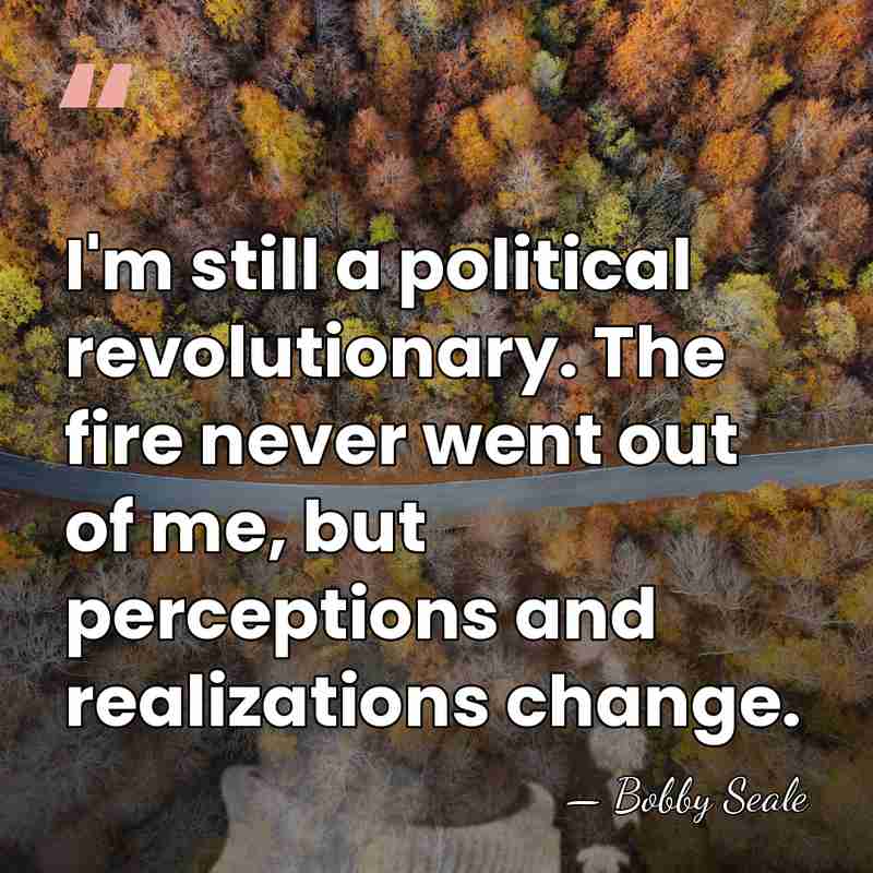 I'm still a political revolutionary. The fire never went out of me,&hellip; - Bobby Seale