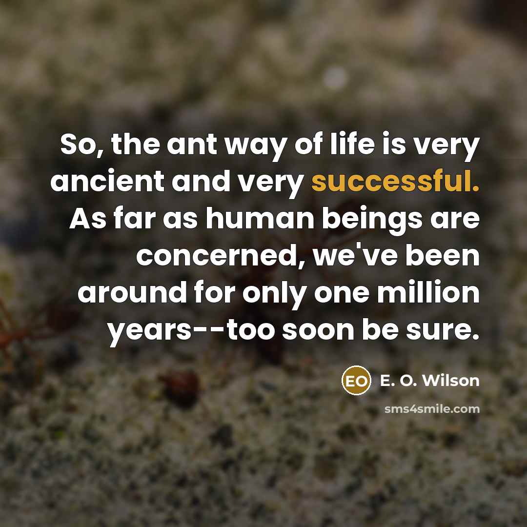 “So, the ant way of life is very ancient and…” quote by E. O. Wilson