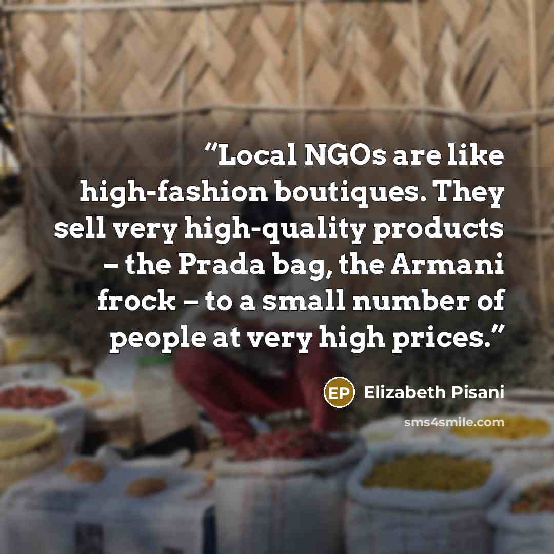 “Local NGOs are like high-fashion boutiques. They sell very high-quality products – the Prada bag, the Armani frock – to a small number of people at very high prices.” quote by Elizabeth Pisani