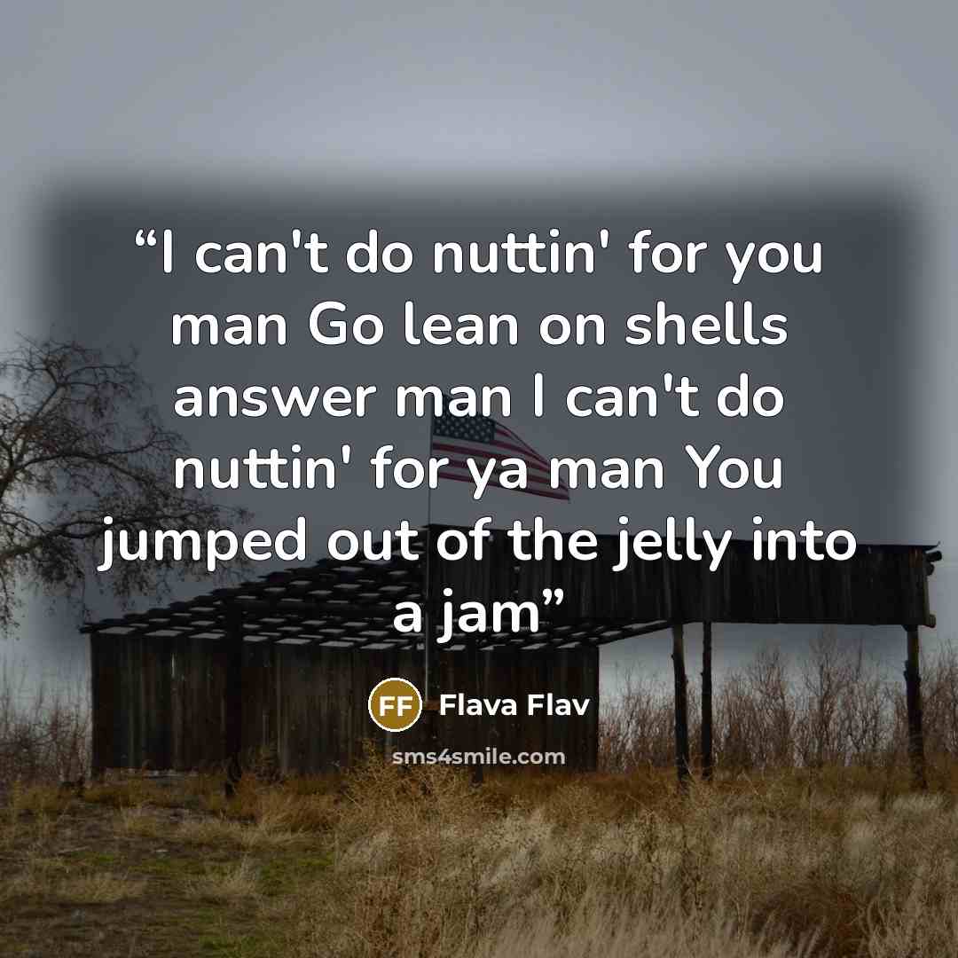 “I can't do nuttin' for you man Go lean on shells answer man I can't do nuttin' for ya man You jumped out of the jelly into a jam” quote by Flava Flav
