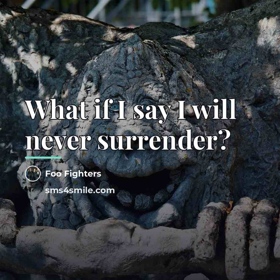 “What if I say I will never surrender?…” quote by Foo Fighters