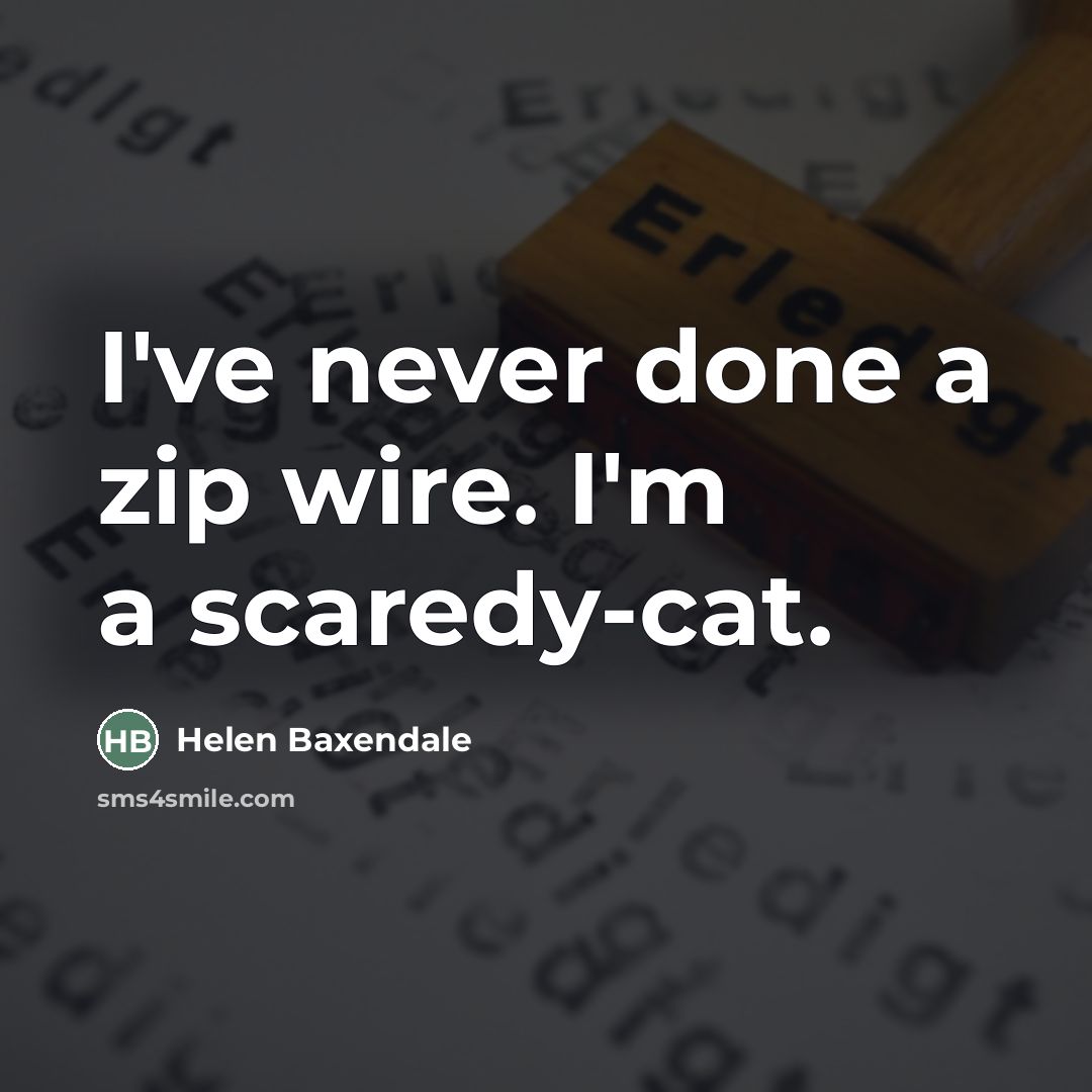 “I've never done a zip wire. I'm a scaredy-cat.…” quote by Helen Baxendale