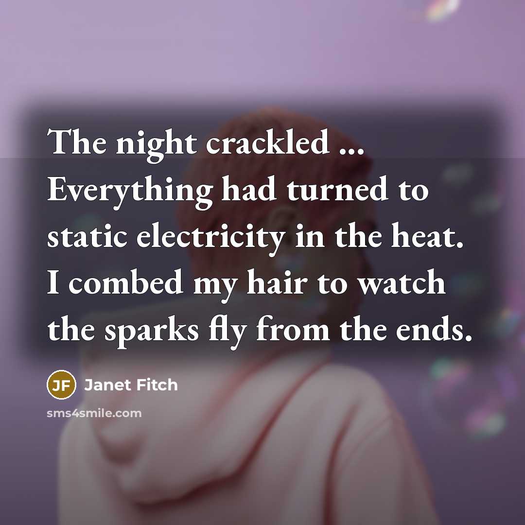 “The night crackled ... Everything had turned to static electricity…” quote by Janet Fitch