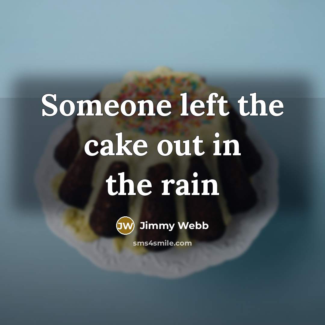 “Someone left the cake out in the rain…” quote by Jimmy Webb