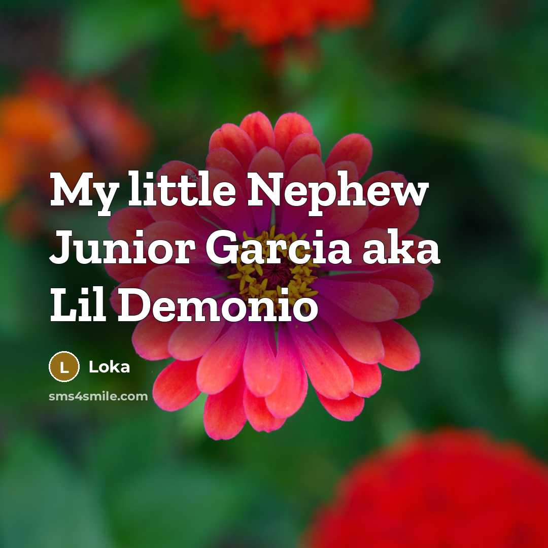“My little Nephew Junior Garcia aka Lil Demonio” quote by Loka