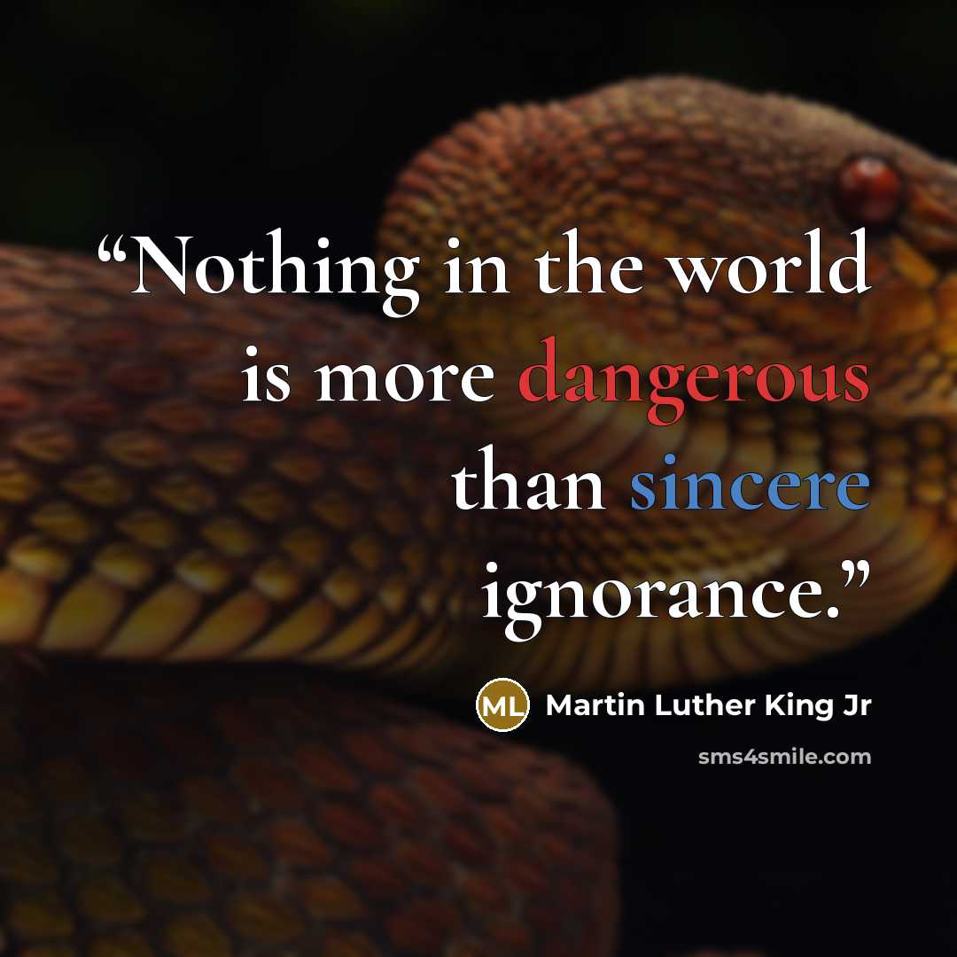 “Nothing in the world is more dangerous than sincere ignorance.” quote by Martin Luther King Jr