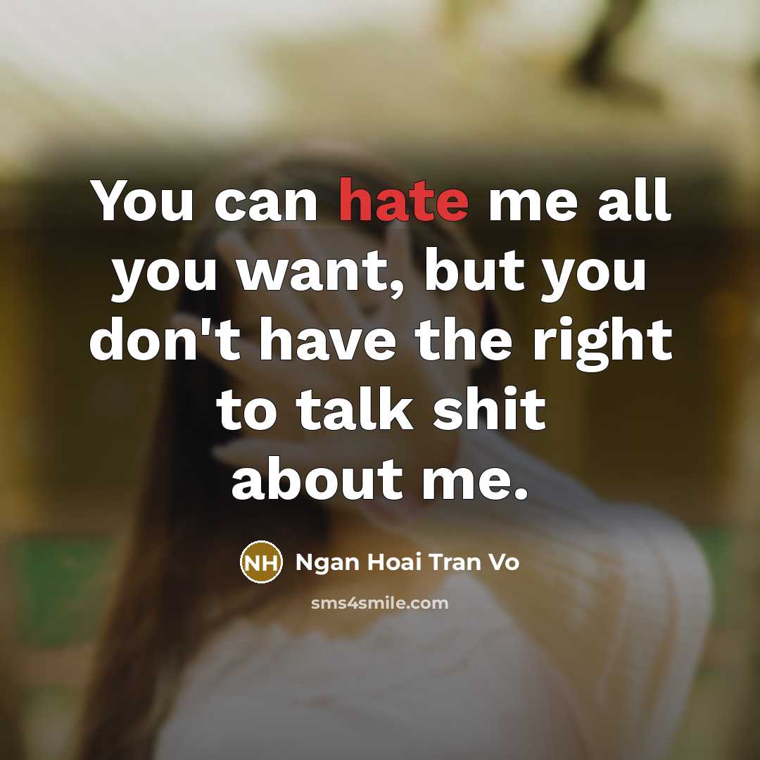 “You can hate me all you want, but you don't…” quote by Ngan Hoai Tran Vo