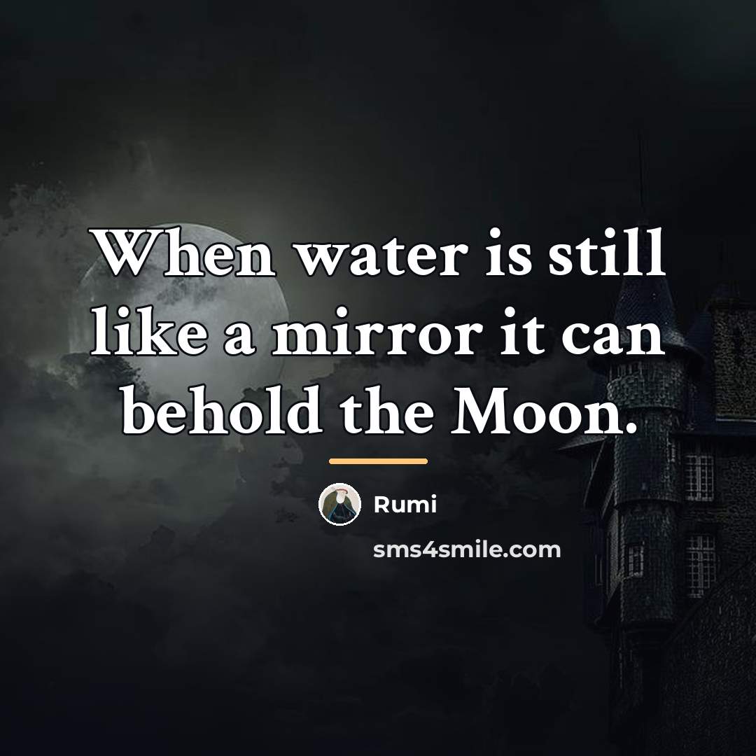 “When water is still like a mirror it can behold…” quote by Rumi