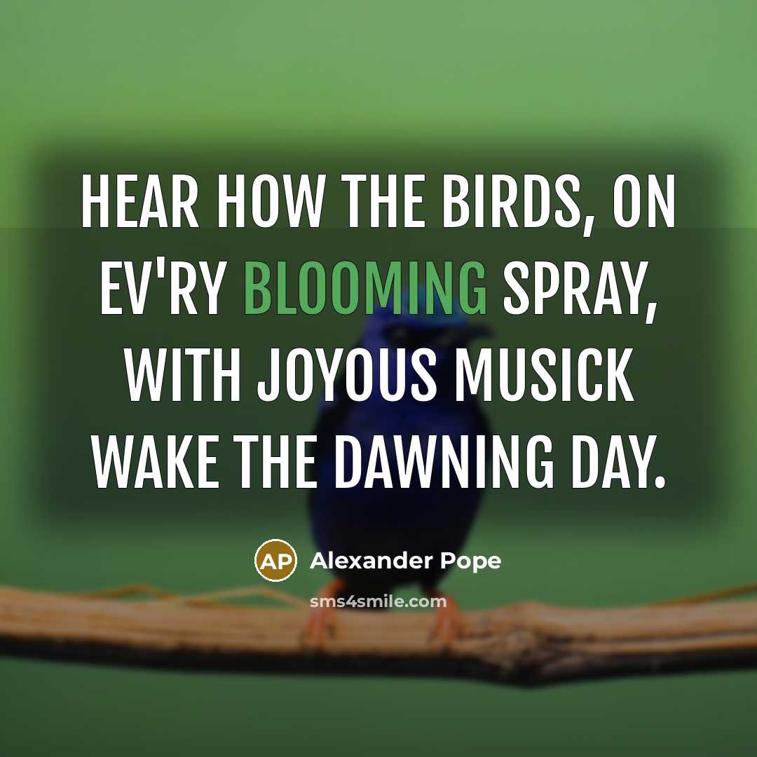 “Hear how the birds, on ev'ry blooming spray, With joyous…” quote by Alexander Pope
