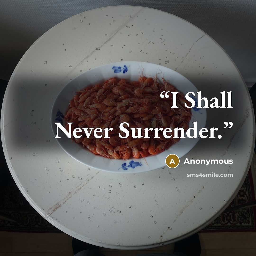 “I Shall Never Surrender.” quote by Anonymous