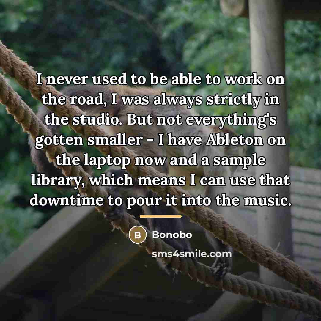 “I never used to be able to work on the…” quote by Bonobo