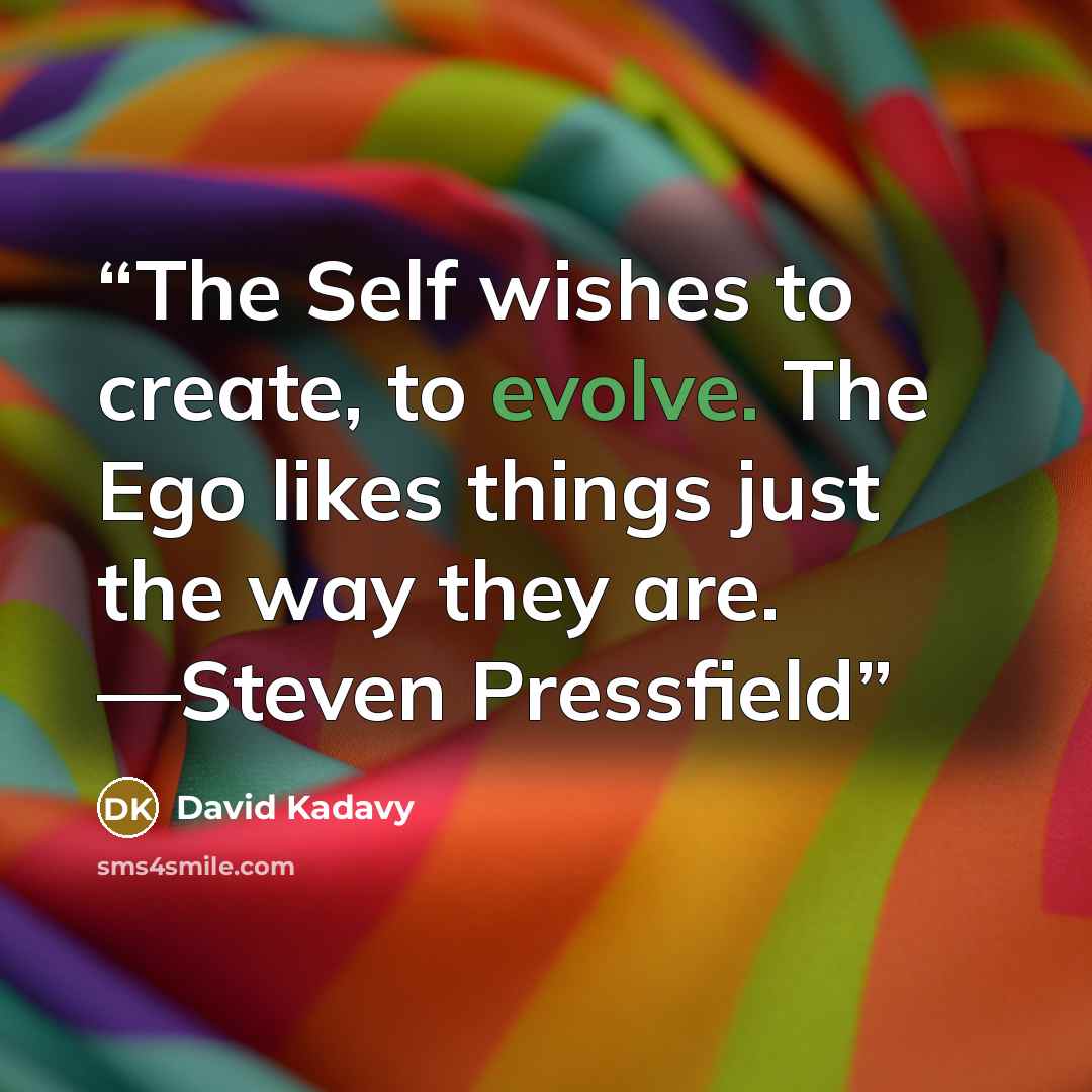 “The Self wishes to create, to evolve. The Ego likes things just the way they are. —Steven Pressfield” quote by David Kadavy