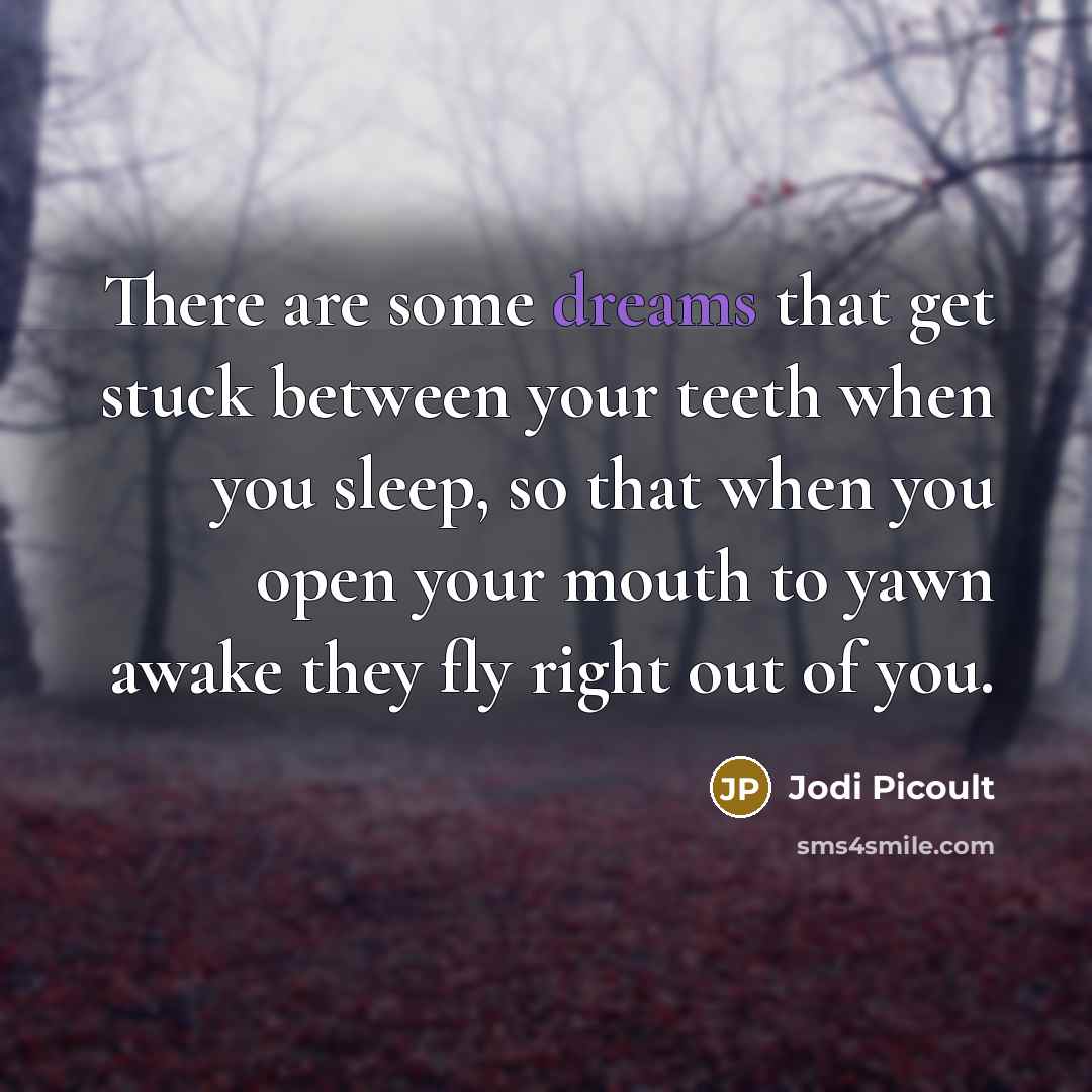 “There are some dreams that get stuck between your teeth…” quote by Jodi Picoult
