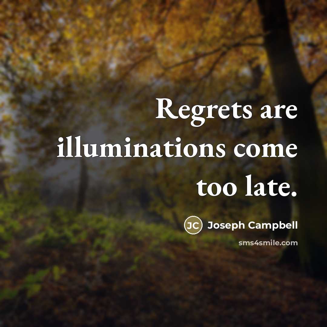 “Regrets are illuminations come too late.…” quote by Joseph Campbell