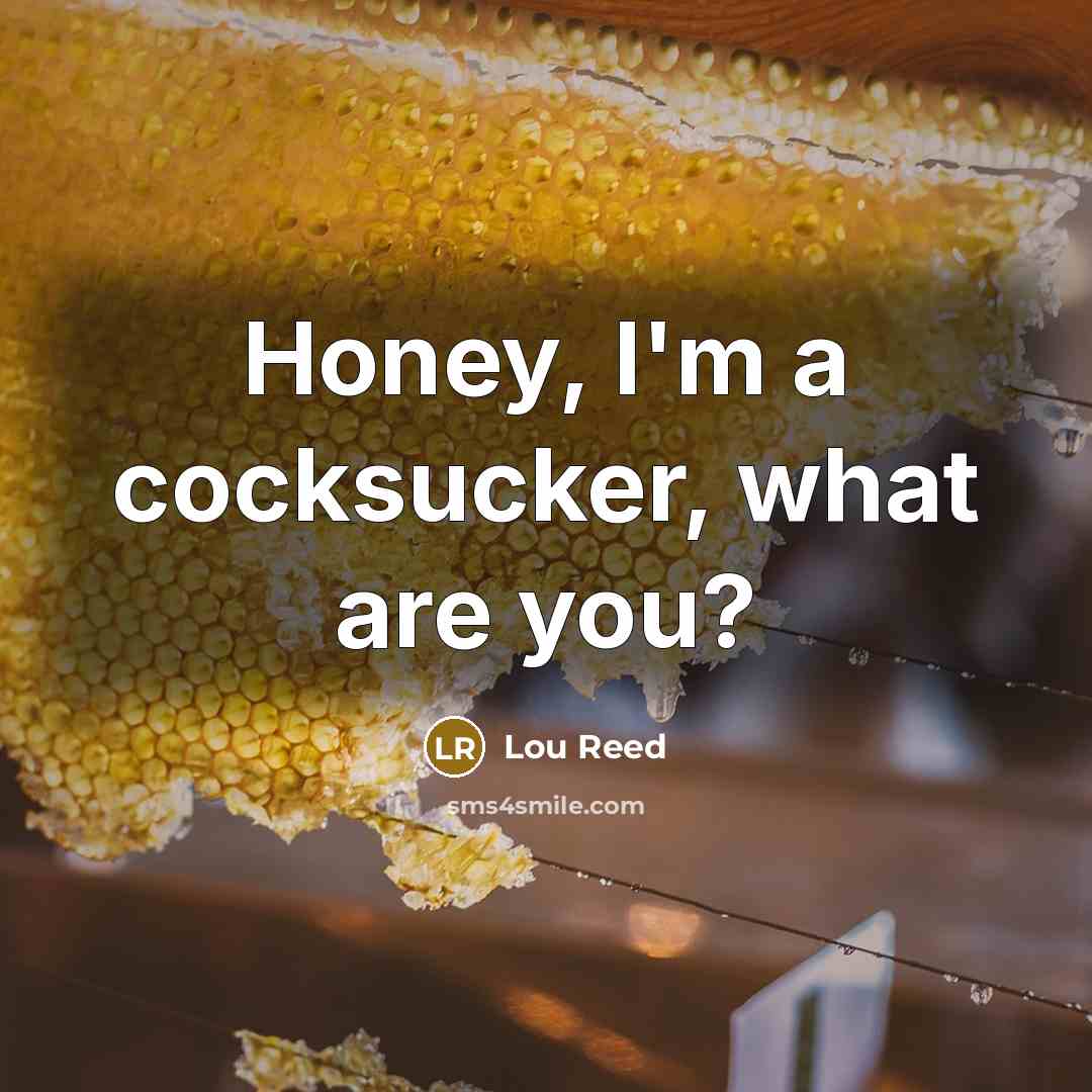 “Honey, I'm a cocksucker, what are you?…” quote by Lou Reed