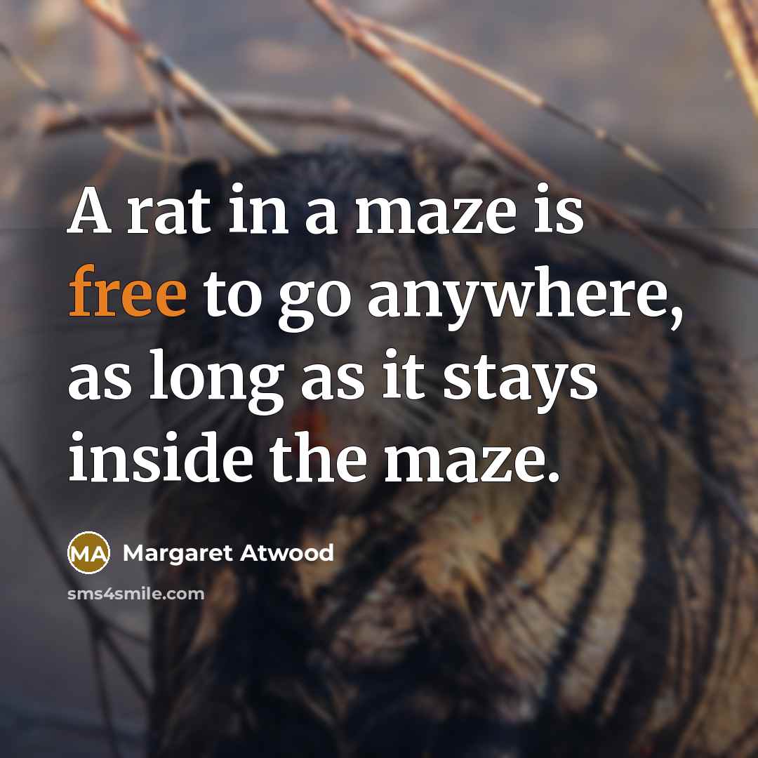 “A rat in a maze is free to go anywhere,…” quote by Margaret Atwood