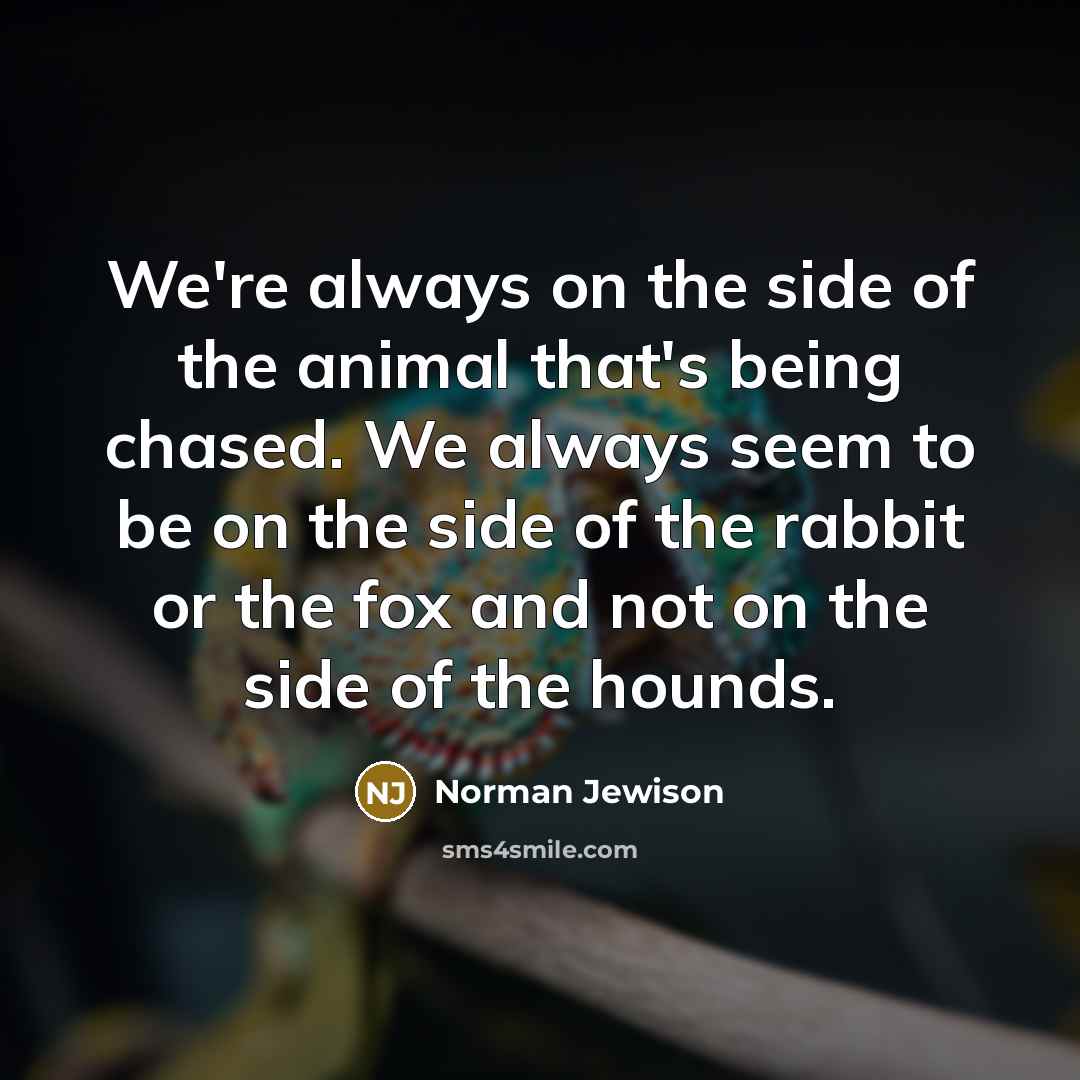 “We're always on the side of the animal that's being…” quote by Norman Jewison