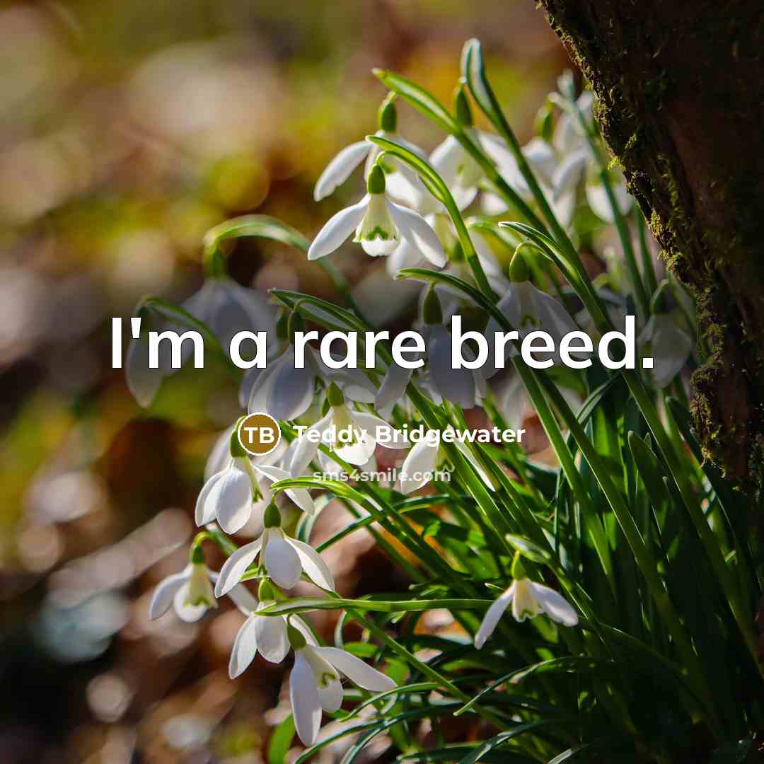 “I'm a rare breed.…” quote by Teddy Bridgewater