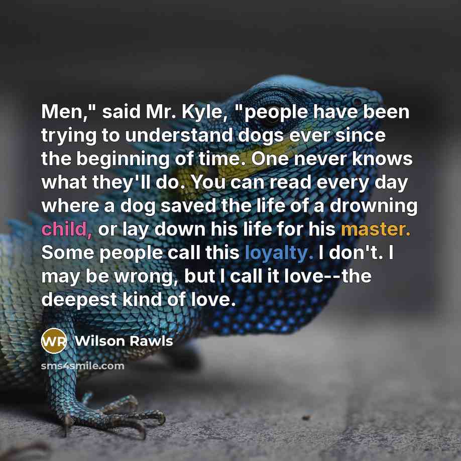 “Men," said Mr. Kyle, "people have been trying to understand dogs ever since the beginning of time. One never knows what they'll do. You can read every day where a dog saved the life of a drowning child, or lay down his life for his master. Some people call this loyalty. I don't. I may be wrong…” quote by Wilson Rawls