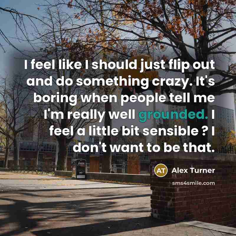 “I feel like I should just flip out and do…” quote by Alex Turner