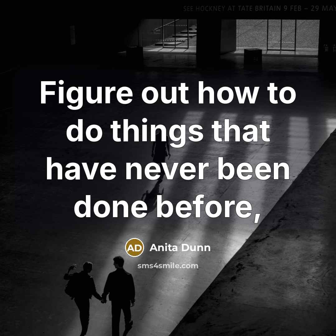 “Figure out how to do things that have never been…” quote by Anita Dunn