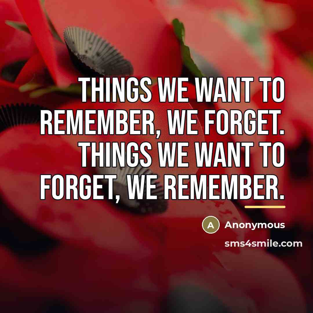 “Things we want to remember, we forget. Things we want…” quote by Anonymous