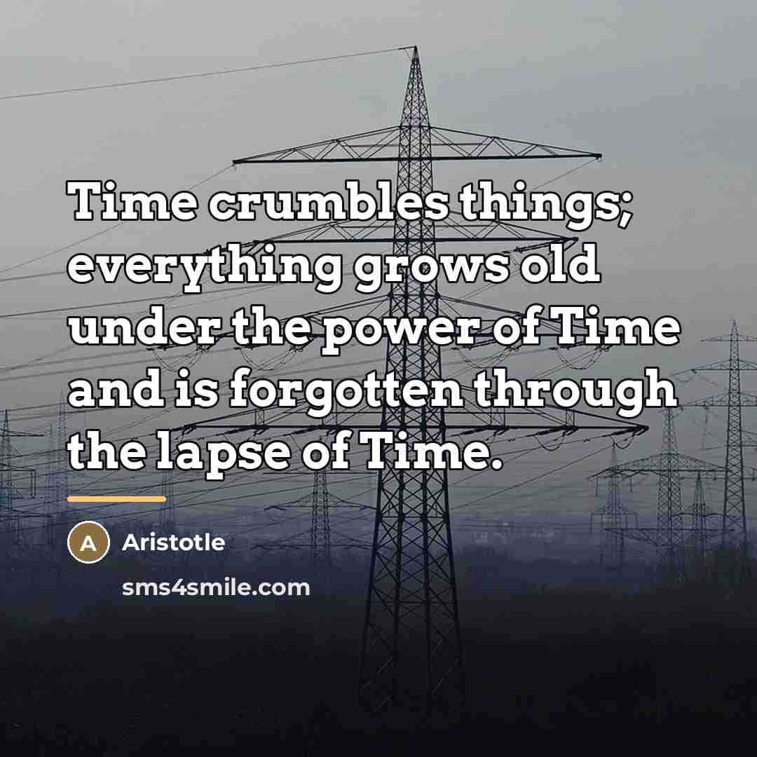 “Time crumbles things; everything grows old under the power of…” quote by Aristotle