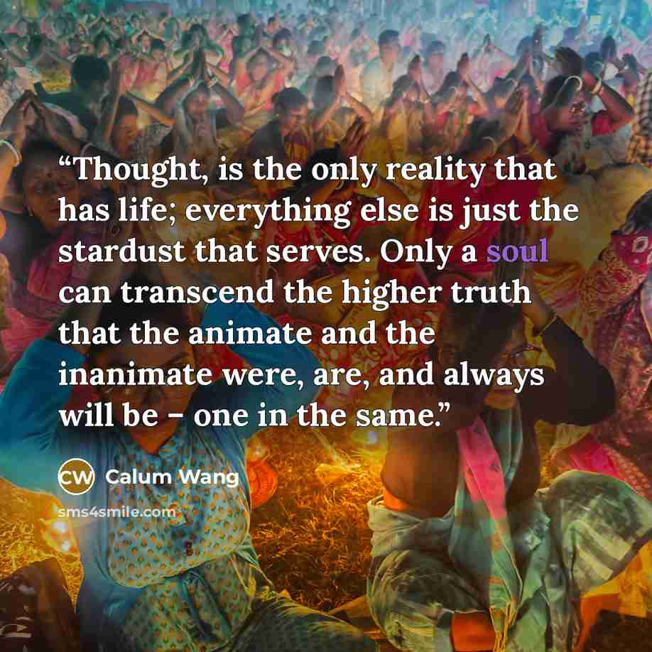 “Thought, is the only reality that has life; everything else is just the stardust that serves. Only a soul can transcend the higher truth that the animate and the inanimate were, are, and always will be – one in the same.” quote by Calum Wang