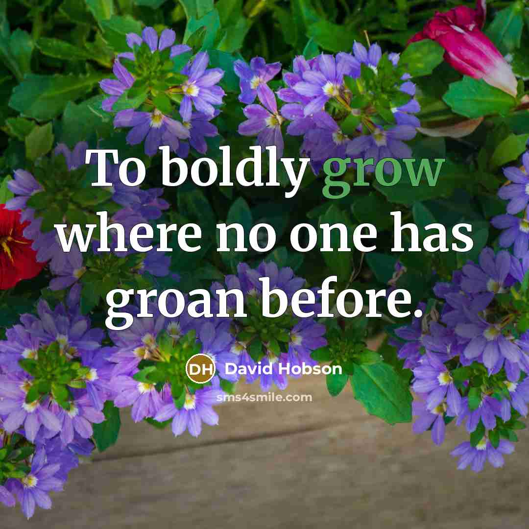 “To boldly grow where no one has groan before.…” quote by David Hobson