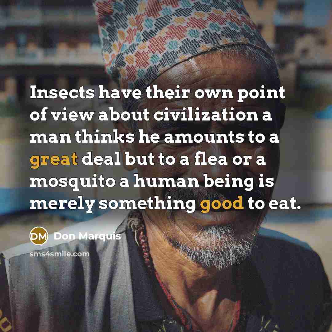 “Insects have their own point of view about civilization a…” quote by Don Marquis
