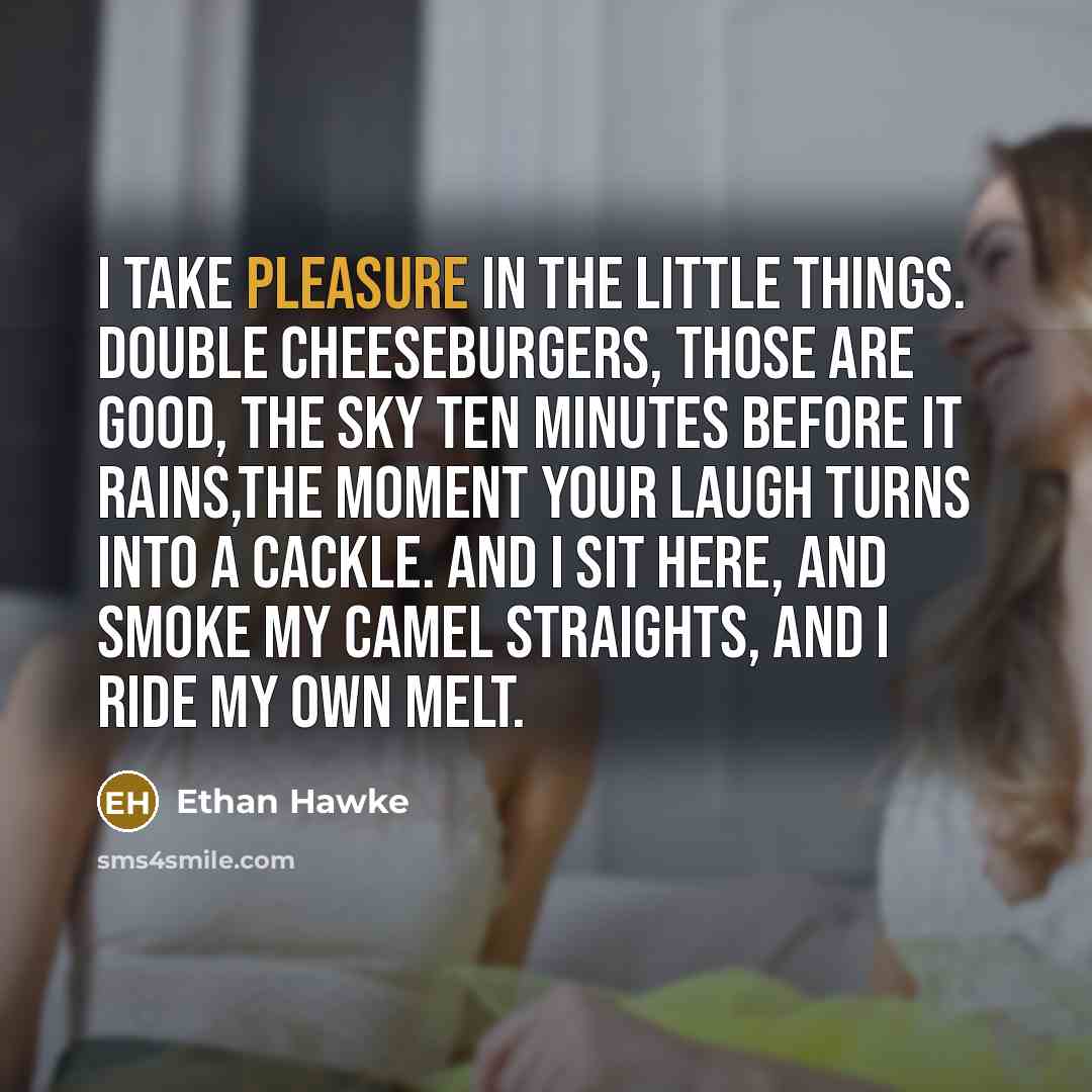 “I take pleasure in the little things. Double cheeseburgers, those…” quote by Ethan Hawke