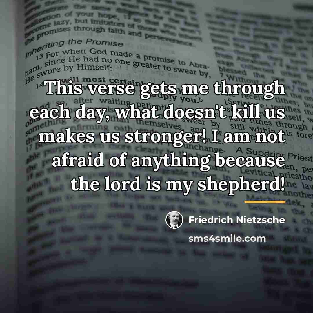 “This verse gets me through each day, what doesn't kill…” quote by Friedrich Nietzsche