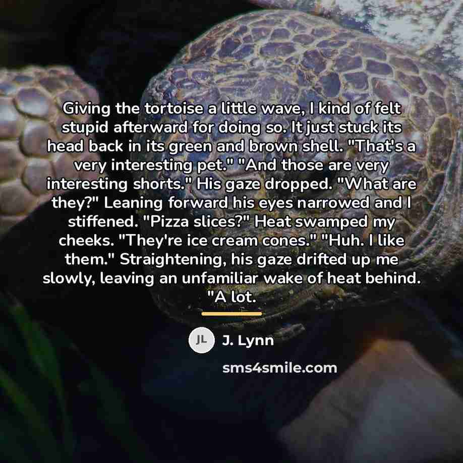 “Giving the tortoise a little wave, I kind of felt…” quote by J. Lynn