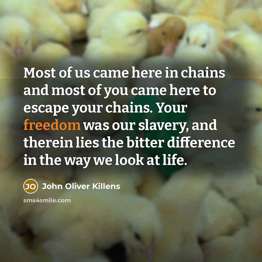 “Most of us came here in chains and most of…” quote by John Oliver Killens