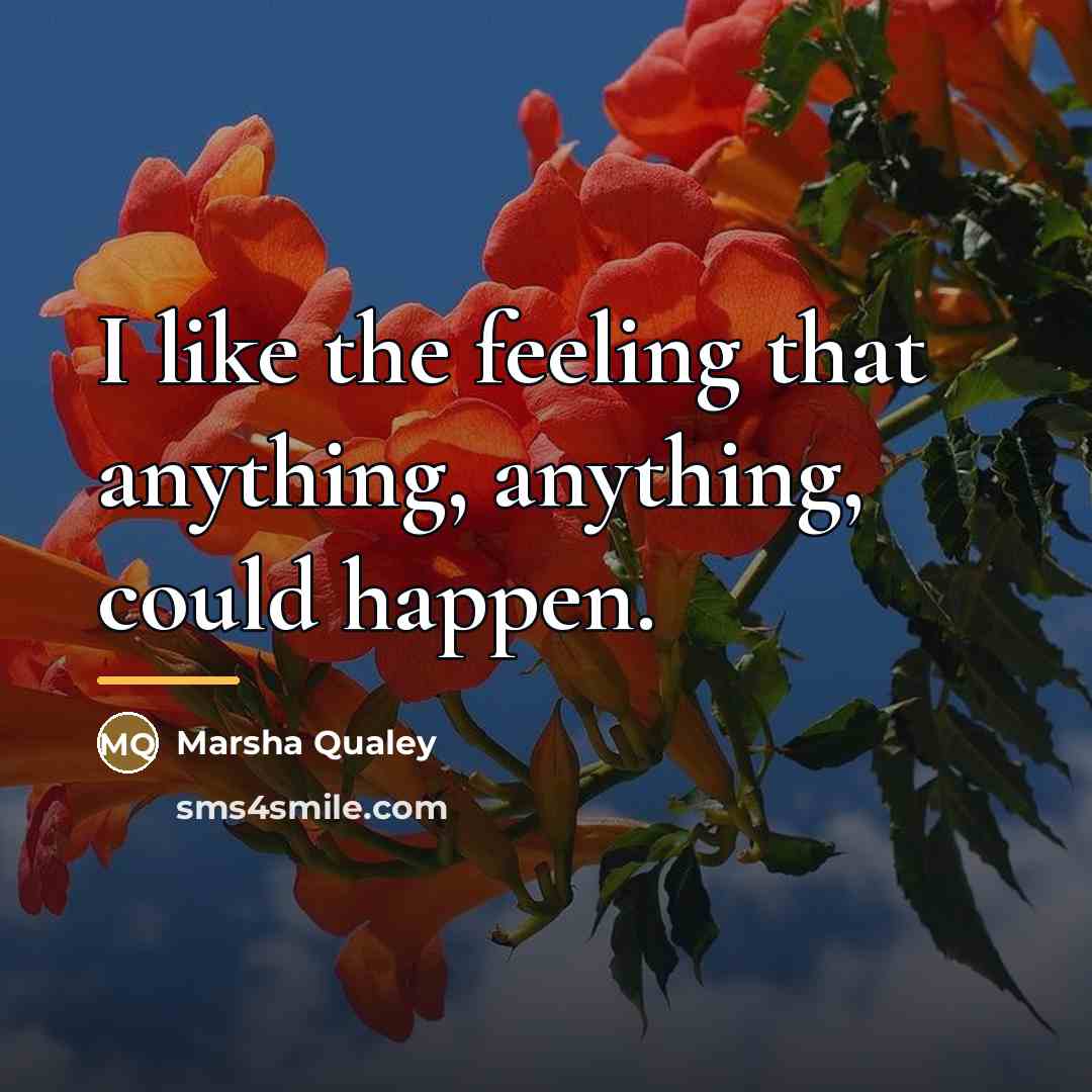 “I like the feeling that anything, anything, could happen.…” quote by Marsha Qualey