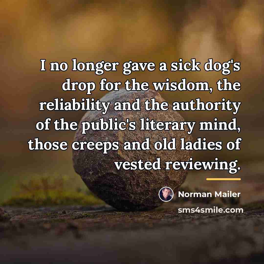 “I no longer gave a sick dog's drop for the…” quote by Norman Mailer