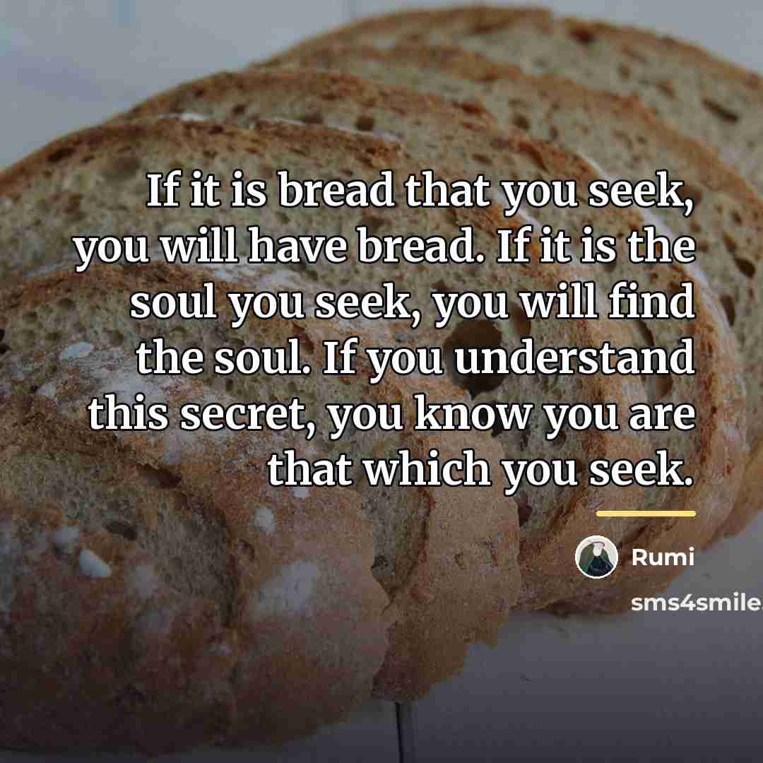 “If it is bread that you seek, you will have…” quote by Rumi