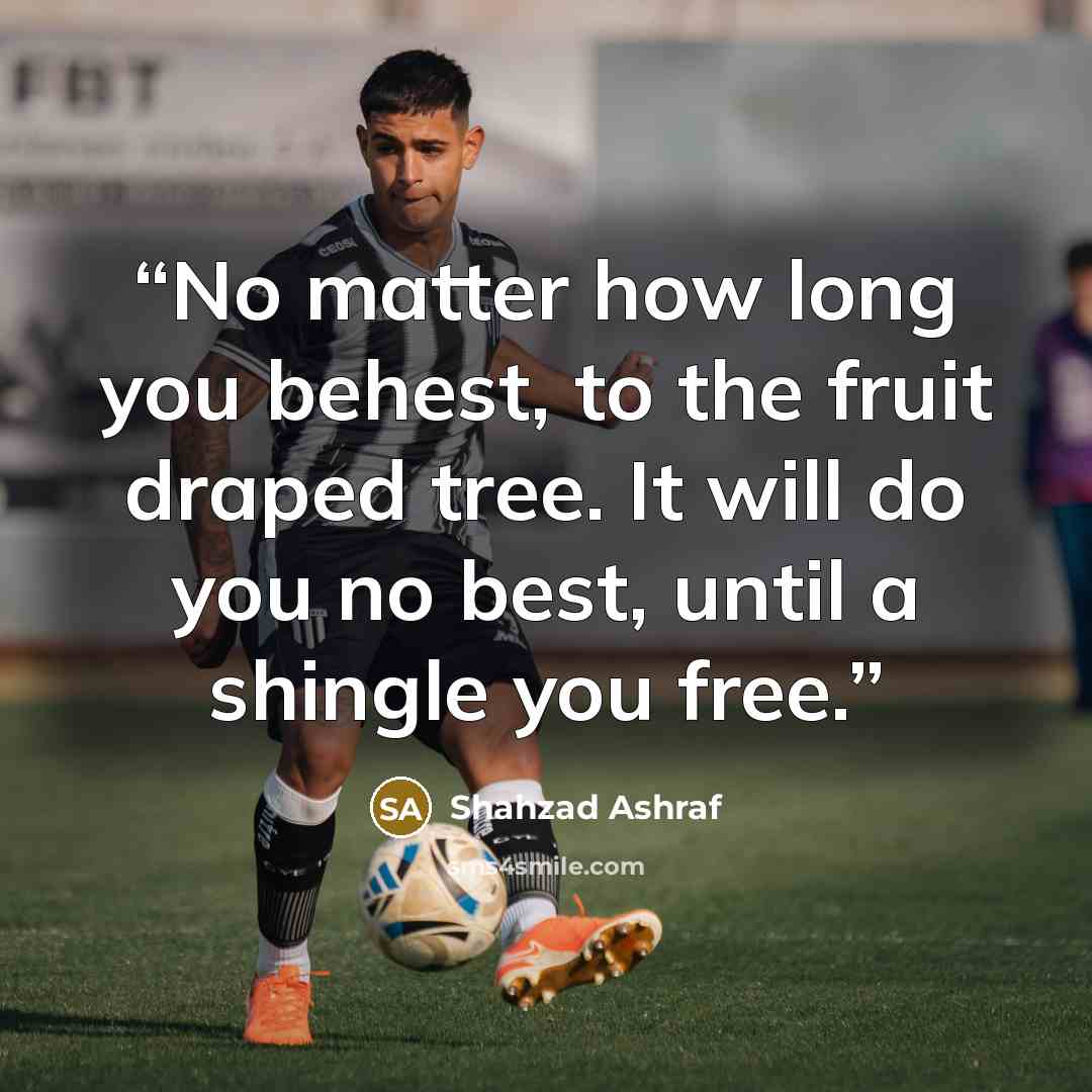 “No matter how long you behest, to the fruit draped tree. It will do you no best, until a shingle you free.” quote by Shahzad Ashraf