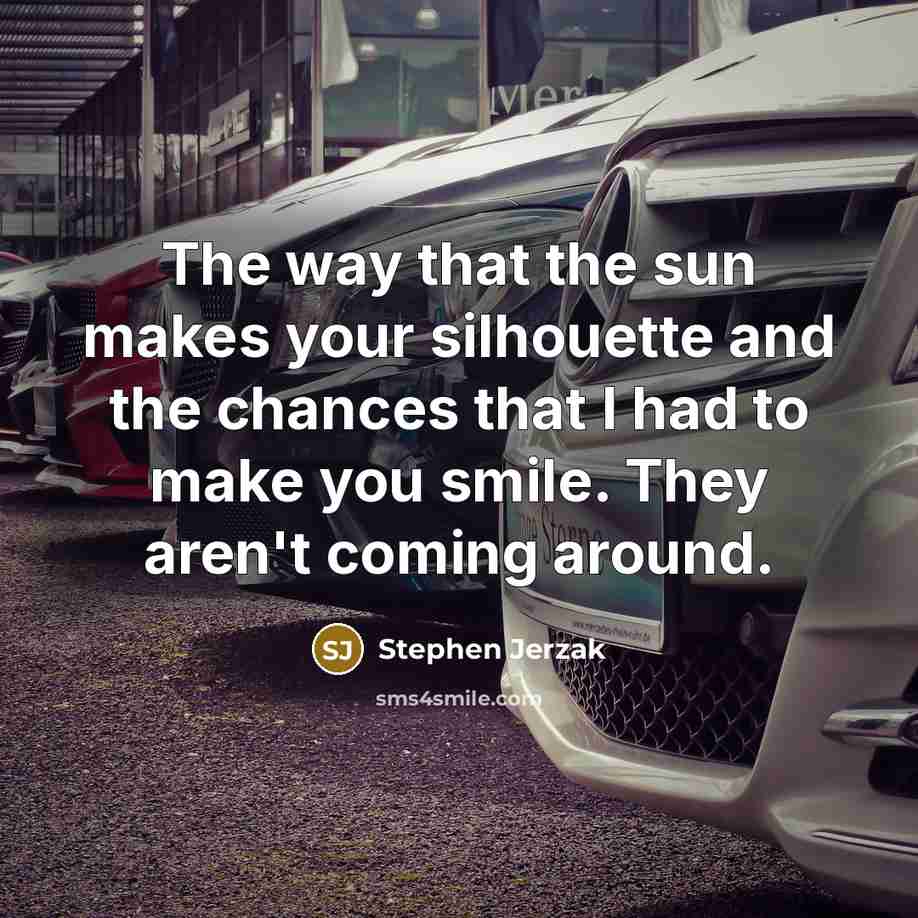 “The way that the sun makes your silhouette and the…” quote by Stephen Jerzak