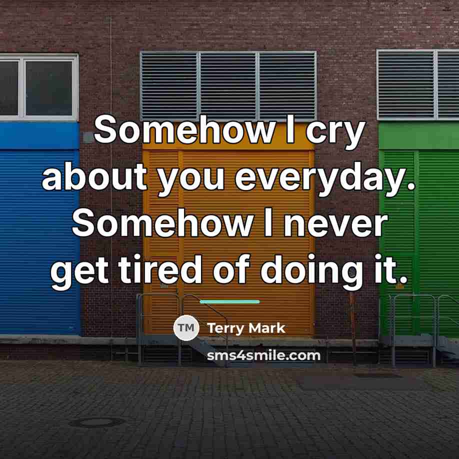 “Somehow I cry about you everyday. Somehow I never get…” quote by Terry Mark