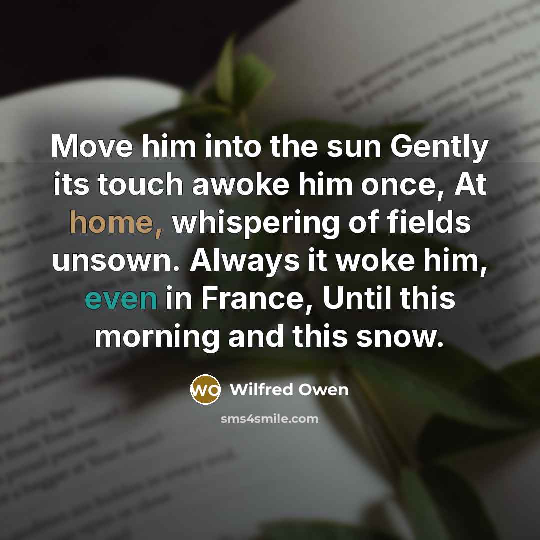 “Move him into the sun Gently its touch awoke him once, At home, whispering of fields unsown. Always it woke him, even in France, Until this morning and this snow.” quote by Wilfred Owen