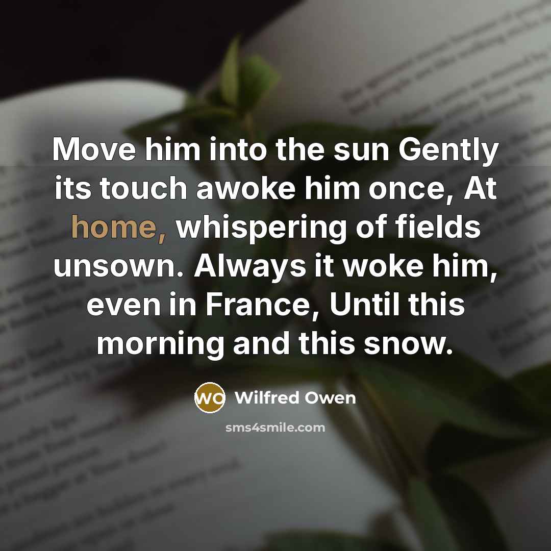 “Move him into the sun Gently its touch awoke him…” quote by Wilfred Owen