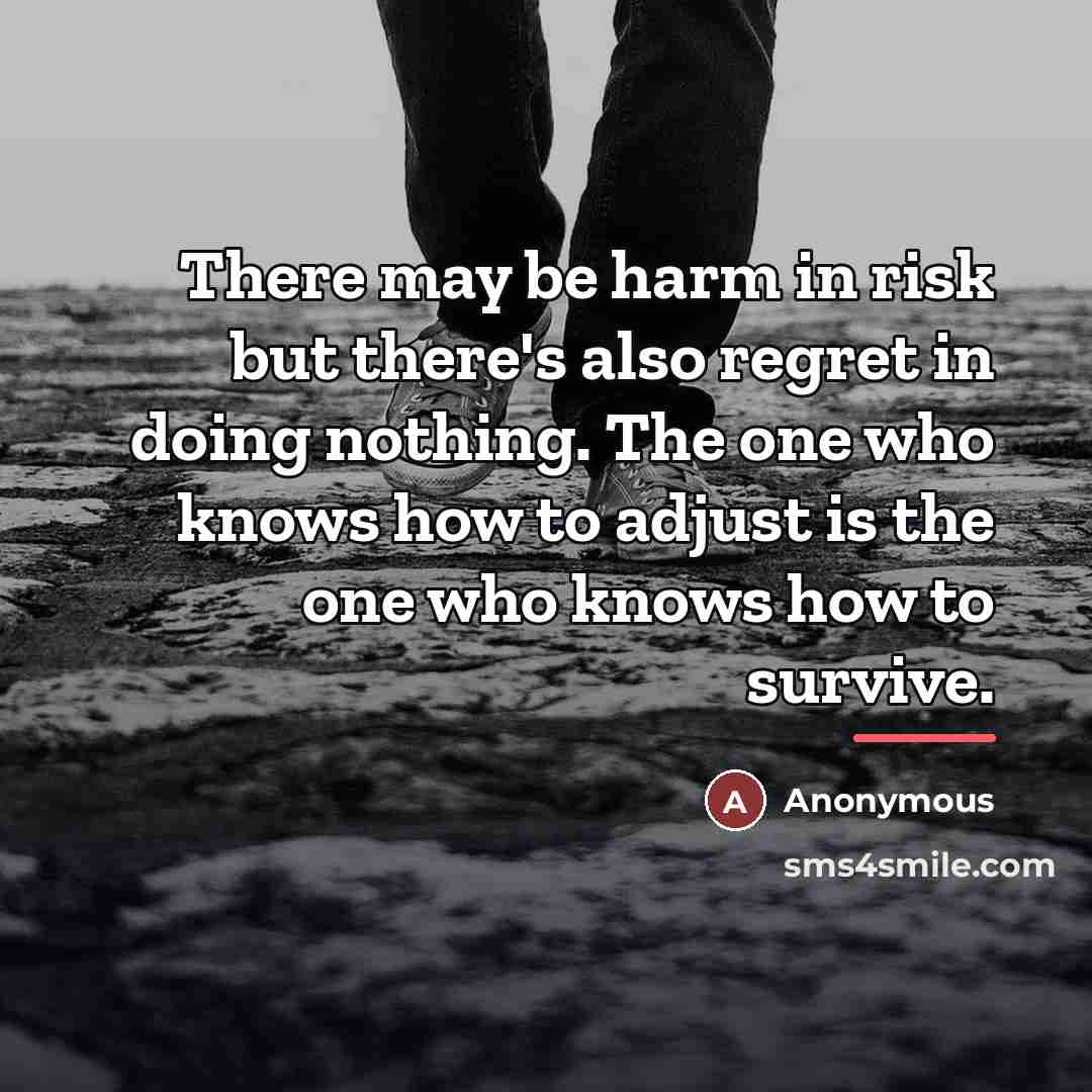 “There may be harm in risk but there's also regret…” quote by Anonymous