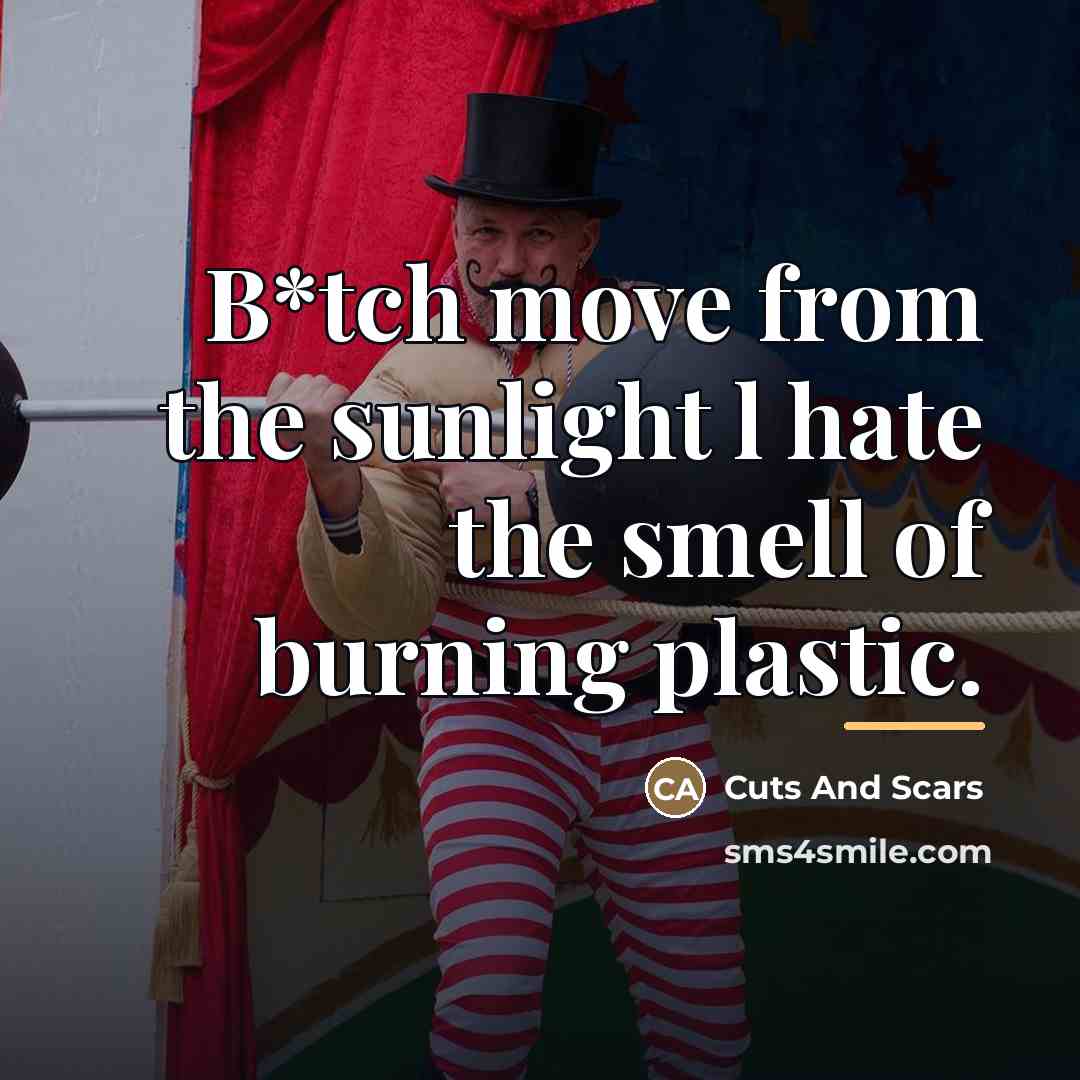 “B*tch move from the sunlight l hate the smell of…” quote by Cuts And Scars