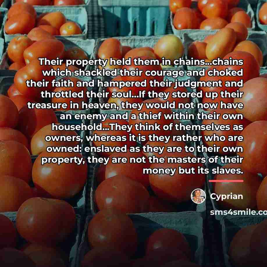 “Their property held them in chains...chains which shackled their courage…” quote by Cyprian
