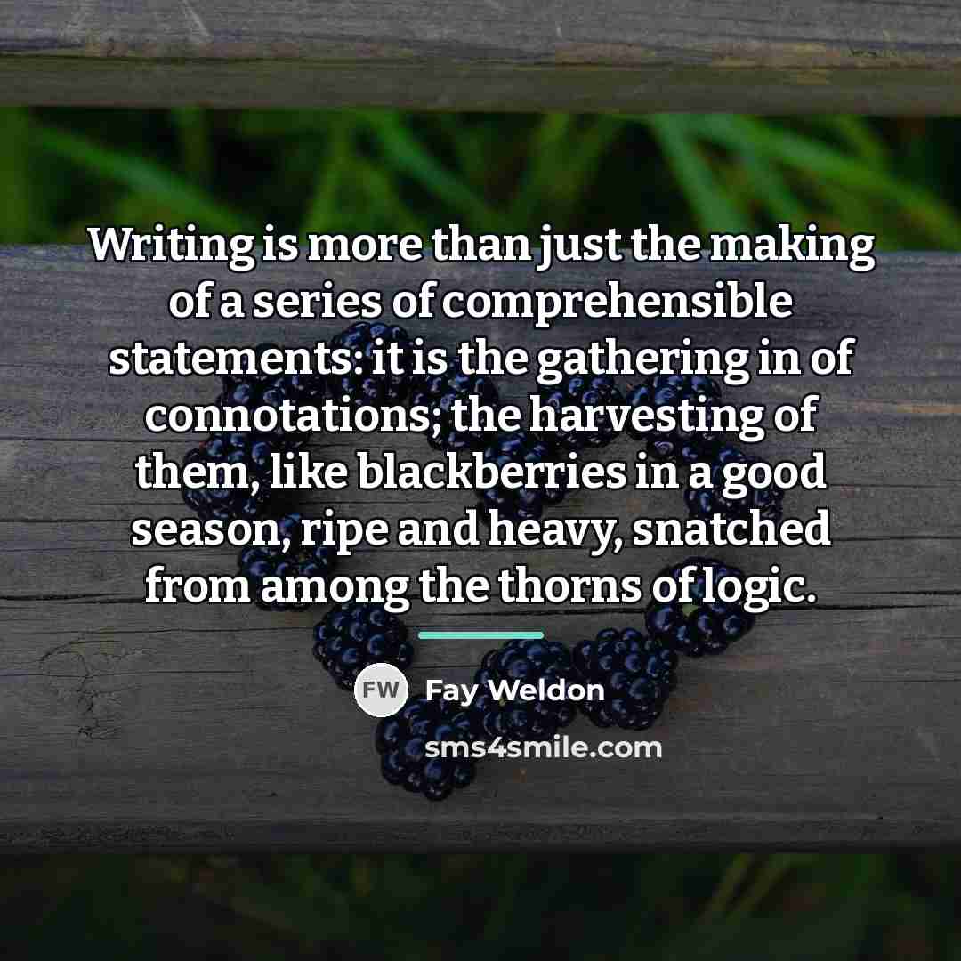 “Writing is more than just the making of a series…” quote by Fay Weldon