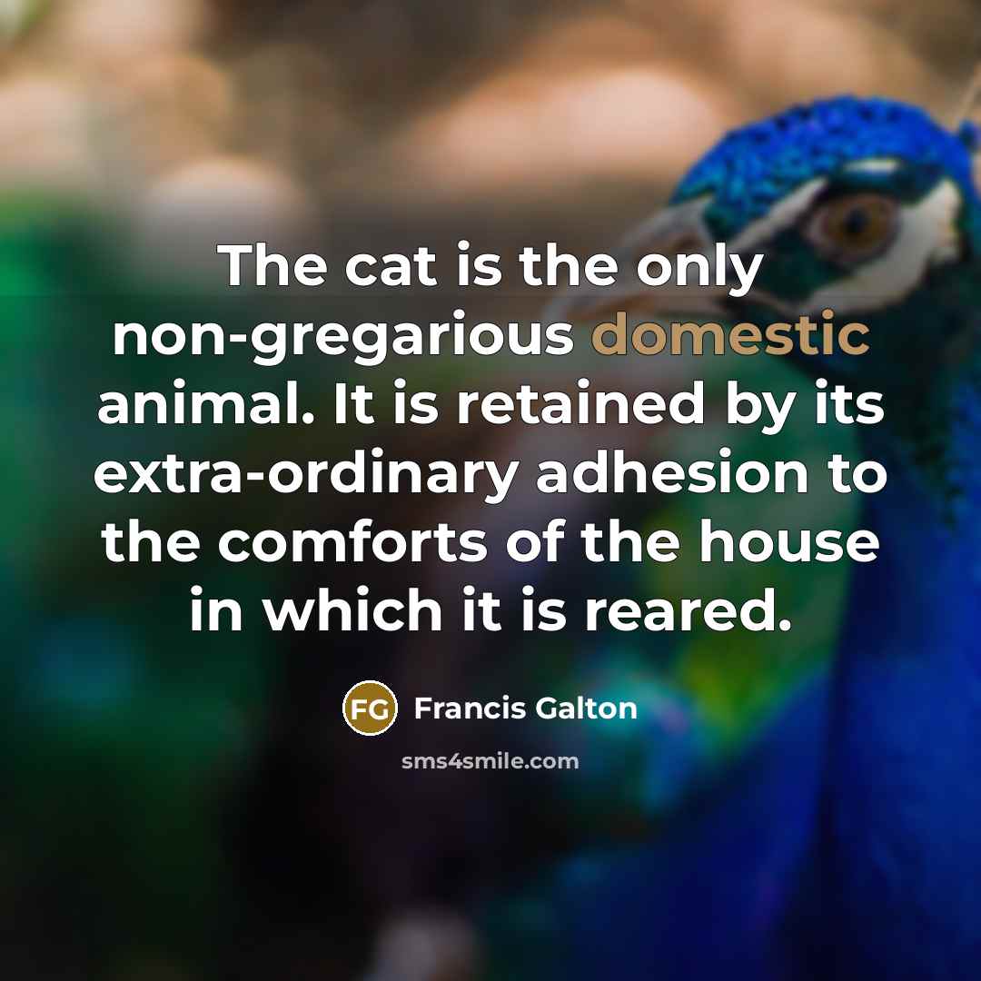 “The cat is the only non-gregarious domestic animal. It is…” quote by Francis Galton